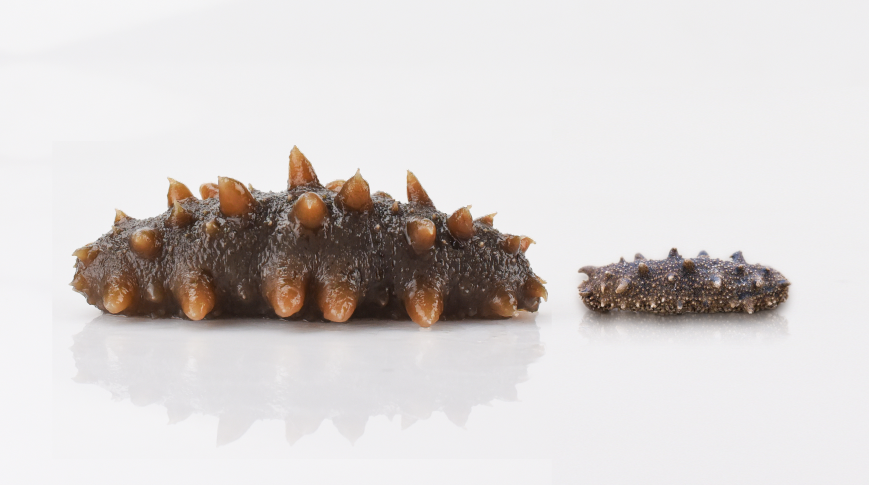 202108201332549875.png 202108201332549875.png