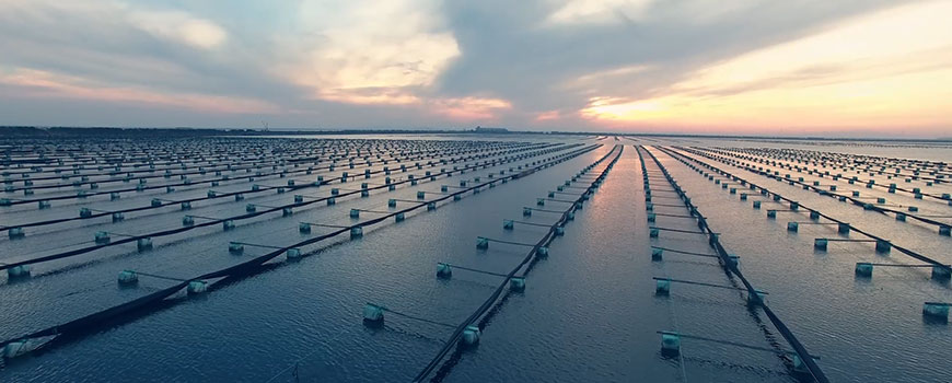 好當家高效農業(yè).jpg 好當家高效農業(yè).jpg